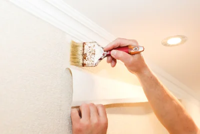 Pose de papier peint à Rochefourchat — revêtements muraux et toiles de verre